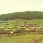 Wagon Train in Obids